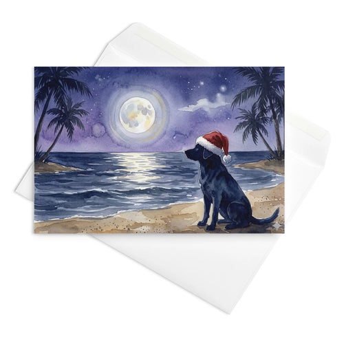 Christmas Card - Christmas Beach Dog in Contemplation